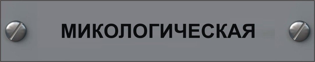 микологическая экспертиза в мурманске экспертиза плесени и грибка в мурманске